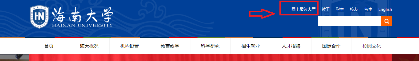 海南大学网上服务大厅登录密码