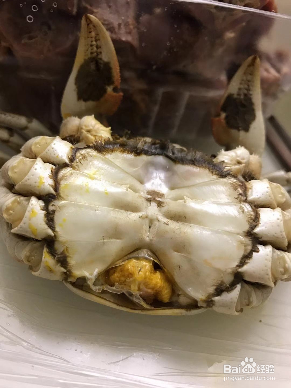 又酥又香的大闸蟹