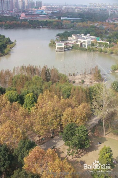 新手做土司必须要了解的5个要点---旅游外出给我们补充体力的芝麻黄油土司