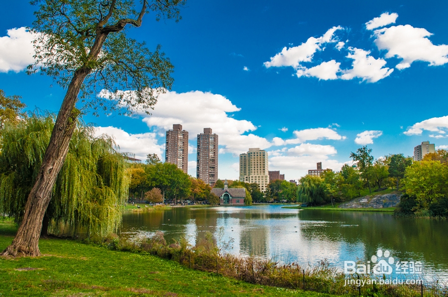 穷游纽约景点指南