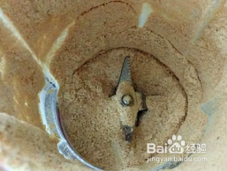 满口生香驴打滚