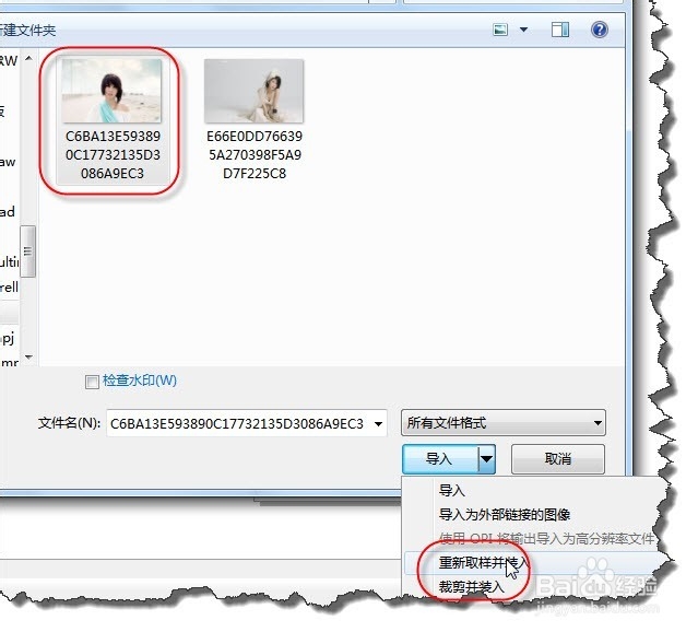 CorelDraw操作技巧：[1]导入