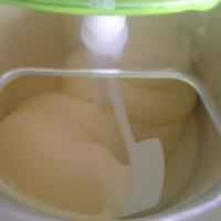 椰香牛奶雪洛可冰淇淋的做法步骤