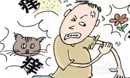 水果替代主食食用会有哪些危害？