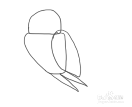 如何简单地绘制燕子