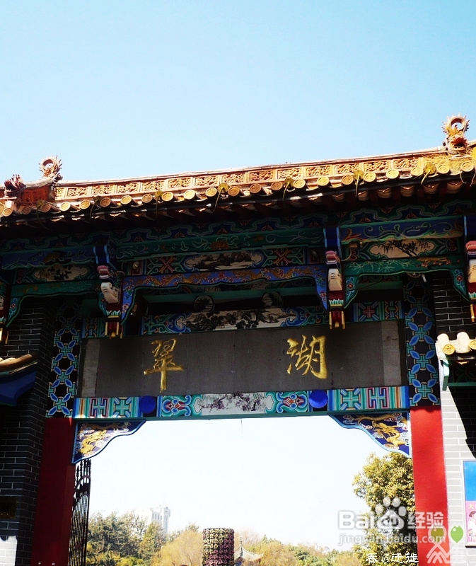 【春的迁徙】冬日，昆明观鸥攻略