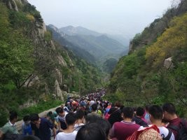 去泰山旅游经验以及过程和注意事项