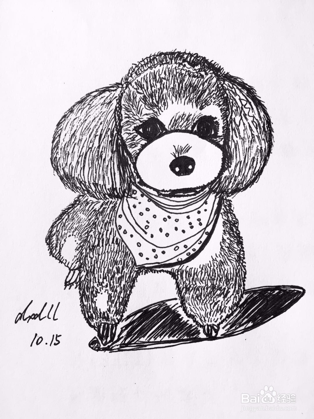 茉莉手绘之萌宠泰迪