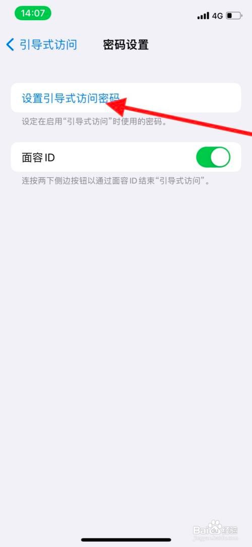 苹果系统引导式访问在哪里设置访问密码？