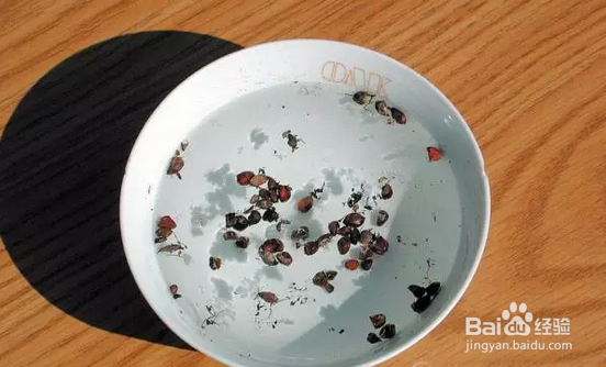 花花草草怎么播种长大