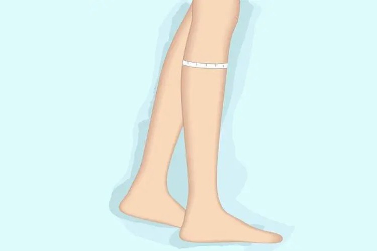 小腿围32算是粗腿吗