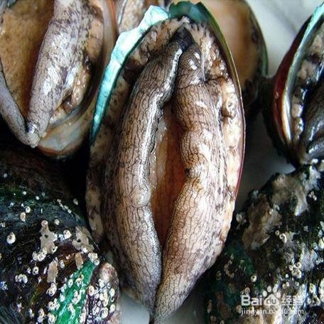 怎样保存活鲍鱼过夜