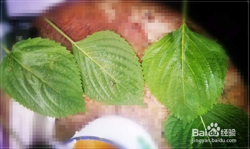 东北小吃粘耗子怎么做?