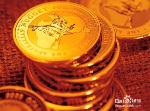 为小白解密基金净值