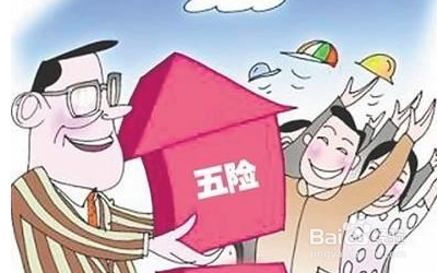 如何区别社保和养老保险
