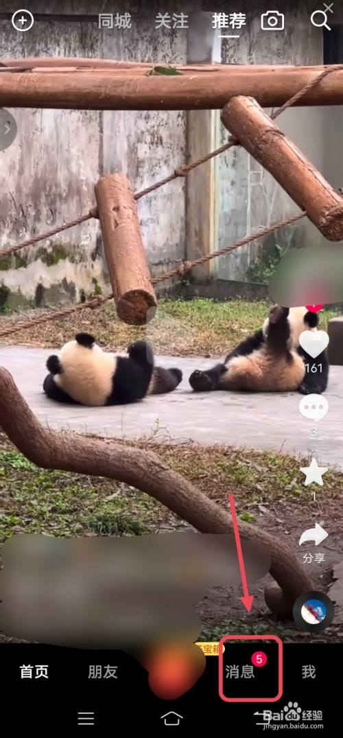 抖音怎么举报别人发的骂人私信消息