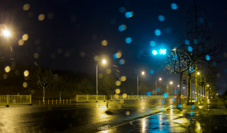 温热蝙蝠日记歌表达了什么