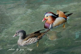 恋爱与品味他人的神秘利器——微察