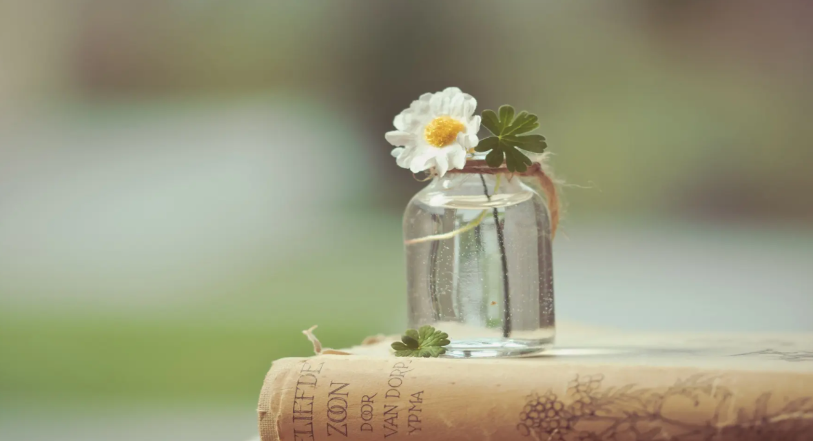 记忆尤深还是记忆犹深