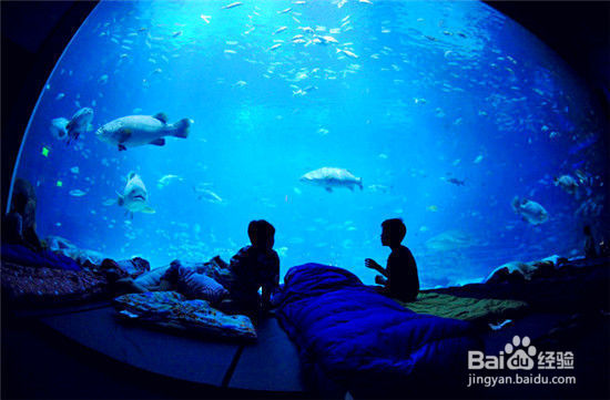 盘点世界十大最酷海底旅馆