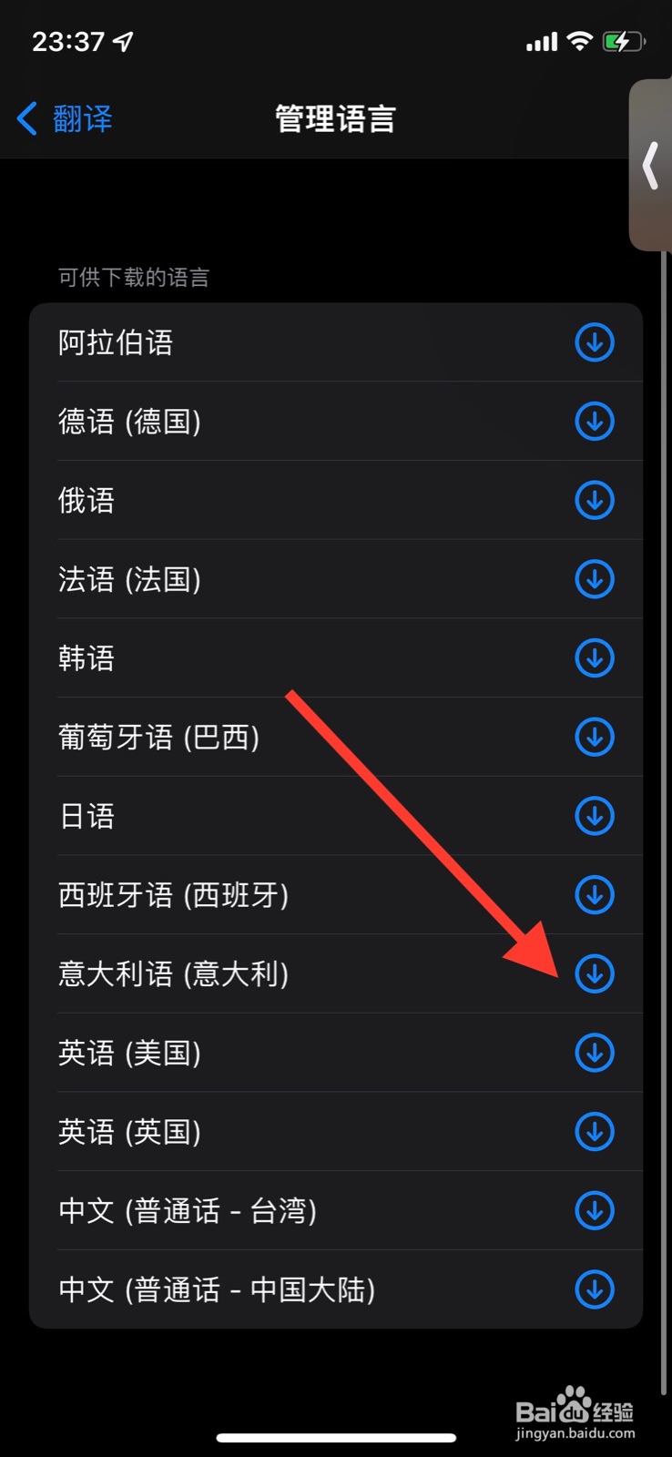 手机iPhone翻译下载“ 意大利语”语言