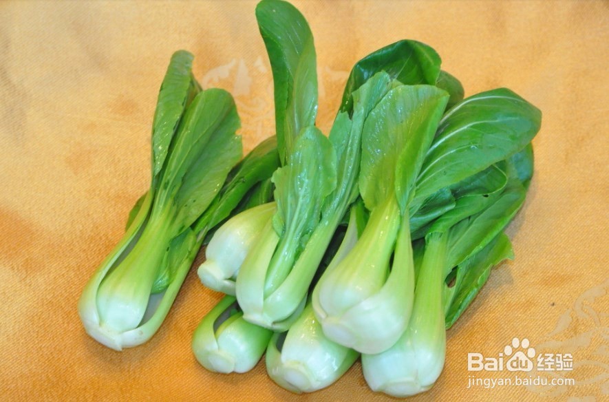 油菜栽培:油菜僵苗怎么办?