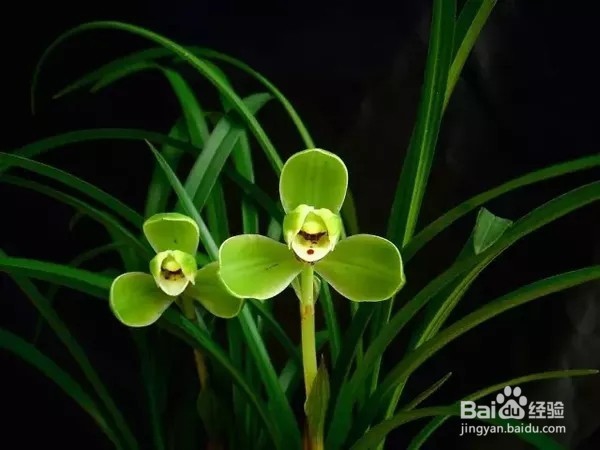 教师节快来了，想好给老师的礼物了吗？