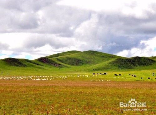拉萨到成都6日游攻略