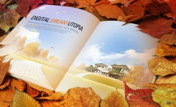 “细处摄神”出文采