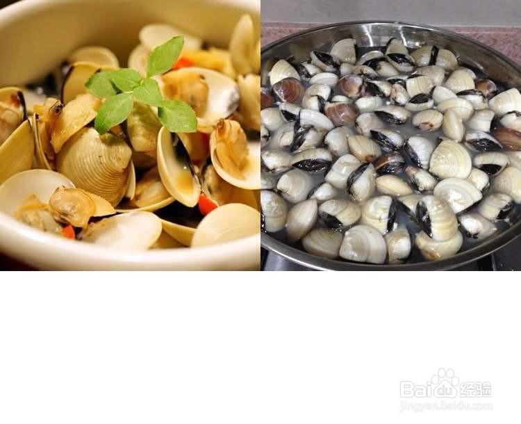 美国贝怎么做好吃