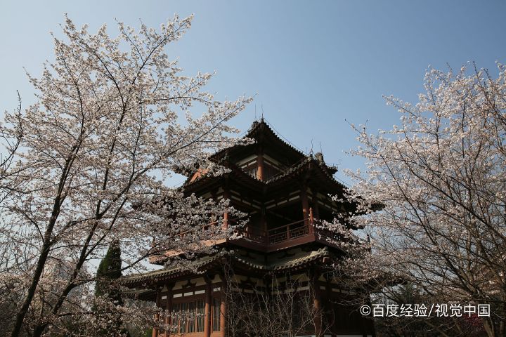 平谷梨树沟一日游攻略