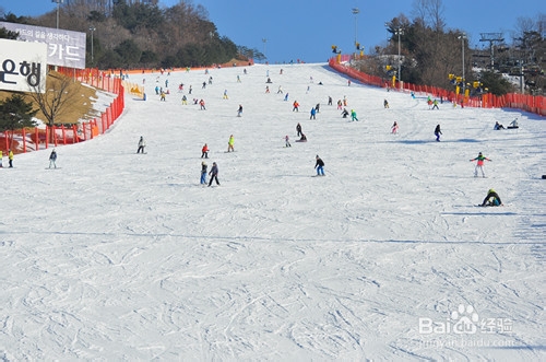 韩国滑雪洪川滑雪场一日游
