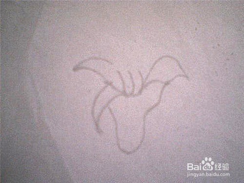 简笔画 百合花怎样画