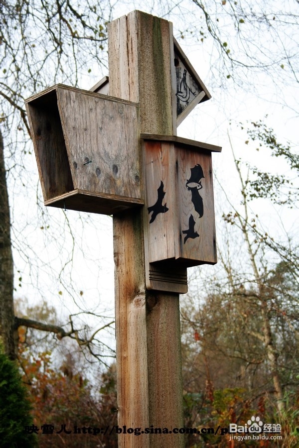 温哥华小学生郊游学什么