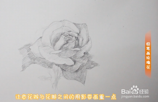 铅笔画玫瑰花步骤教程