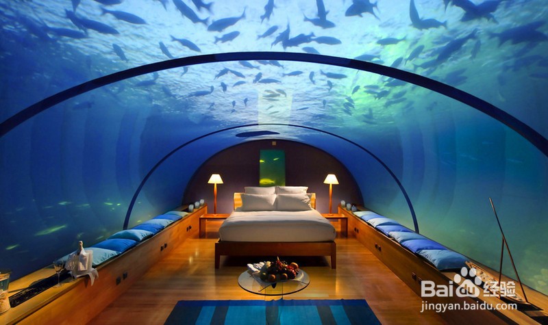 贵安欢乐世界游玩攻略