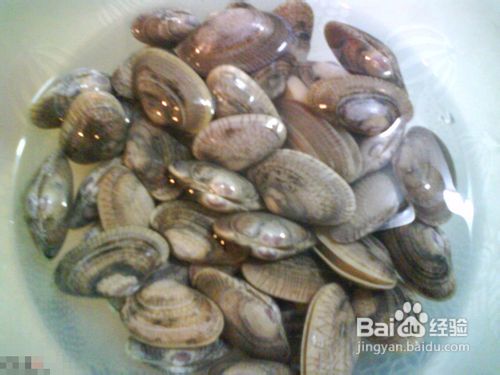 姜葱炒花甲怎么炒