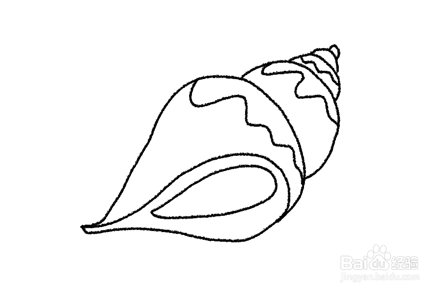 怎样画海螺简单图片
