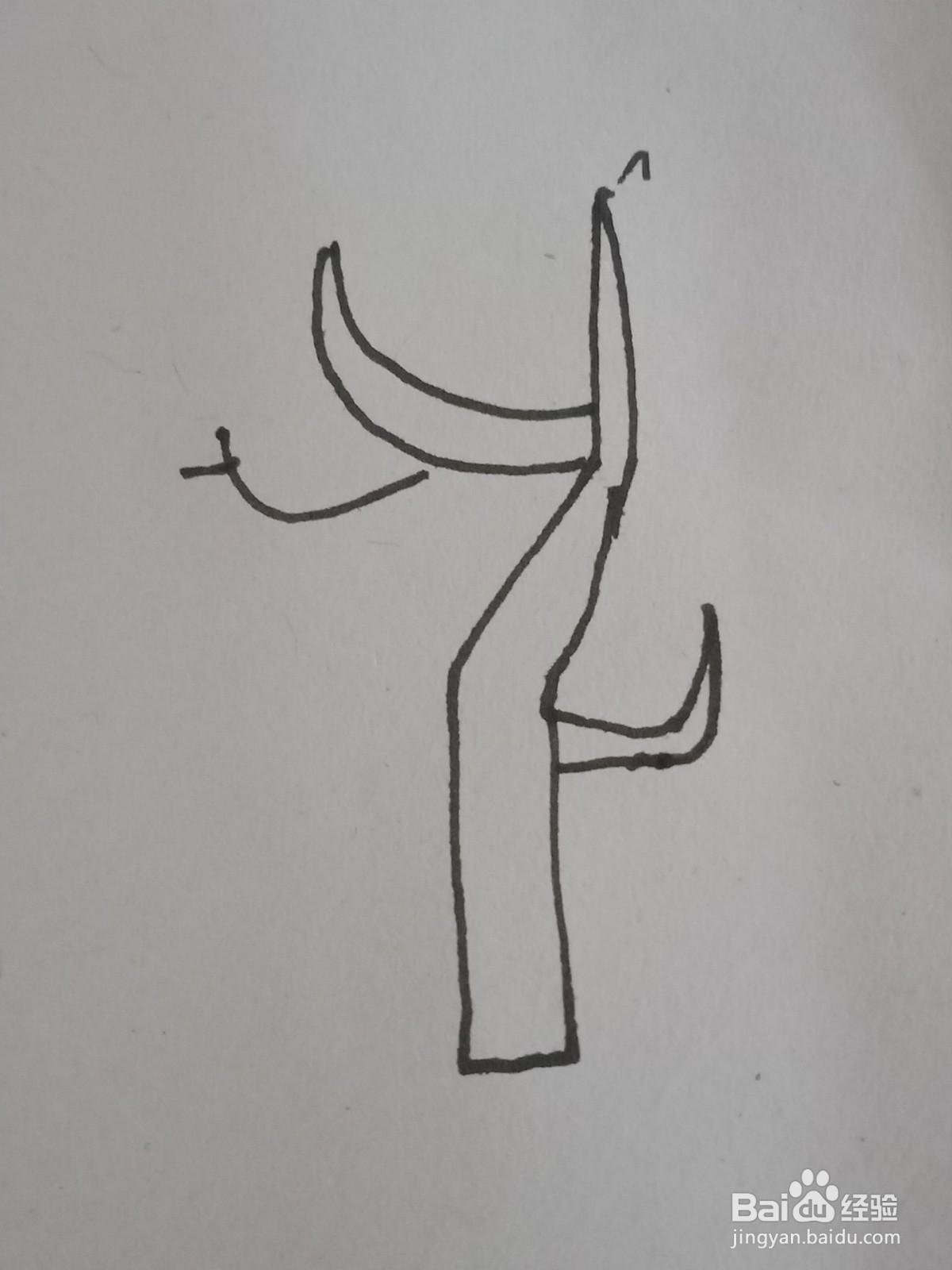 幼儿园简笔画树木