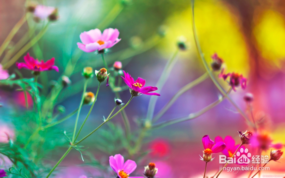 百度知道新人需知道--------答题技巧