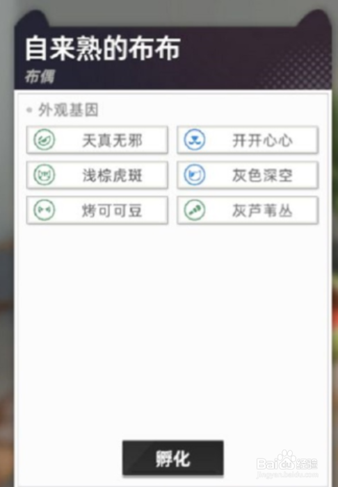 猫之城怎么配猫