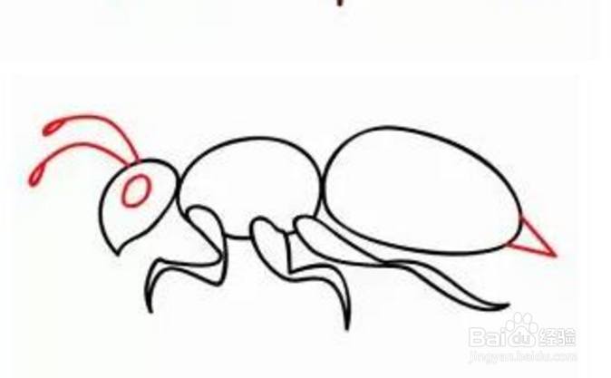 大黄蜂简笔画步骤