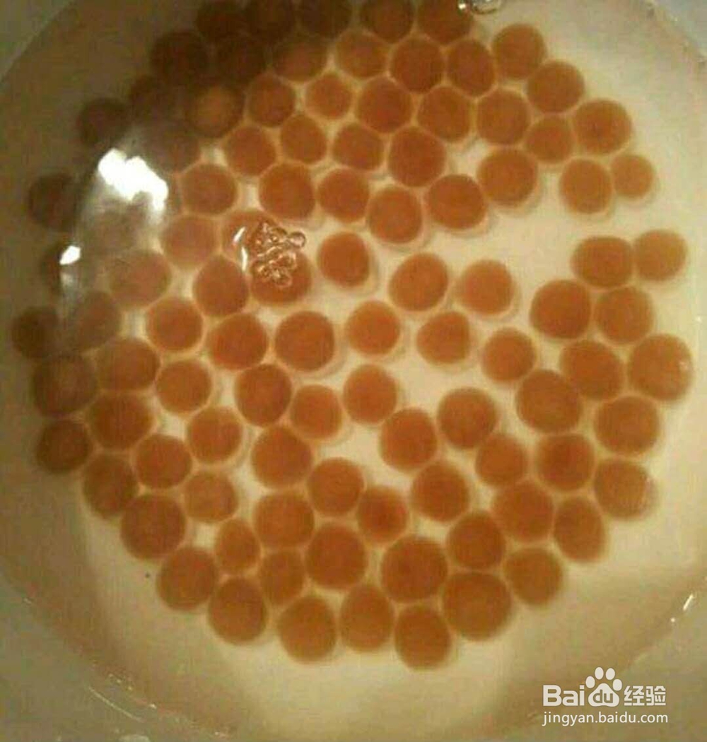 珍珠奶茶自己做