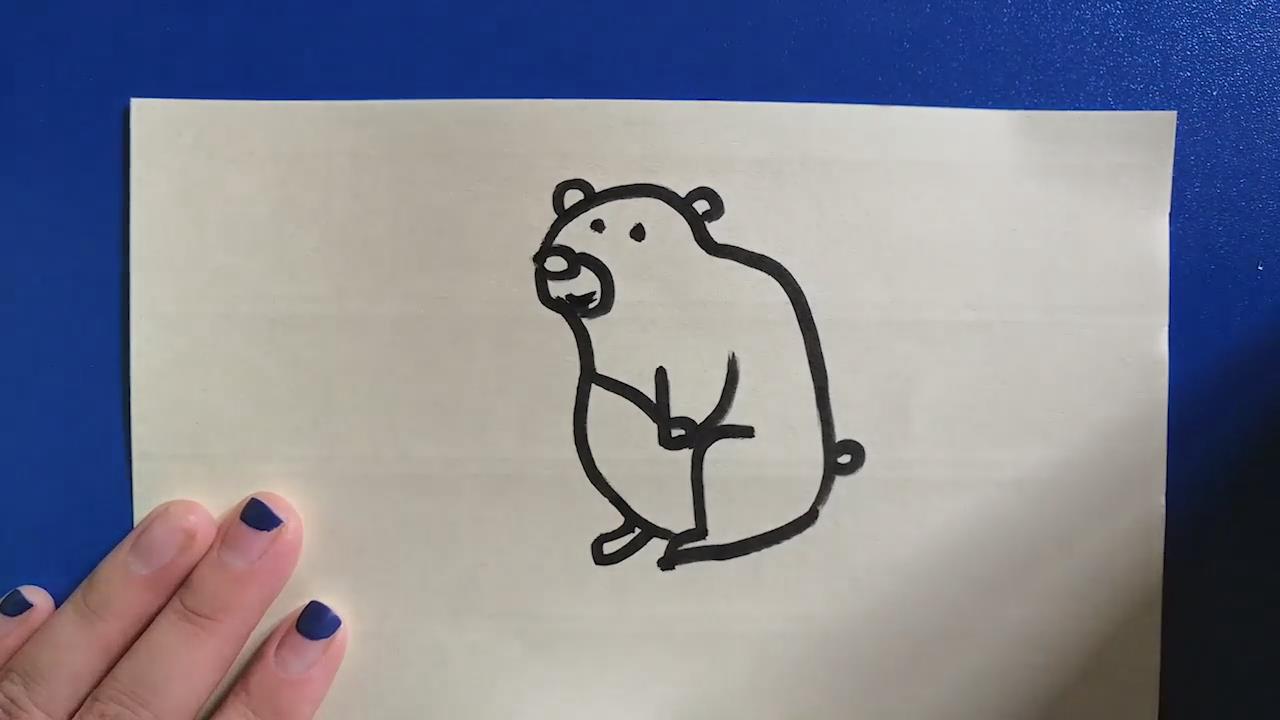 灰熊应该怎样画