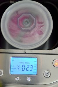 冰雪童话火龙果冰淇淋