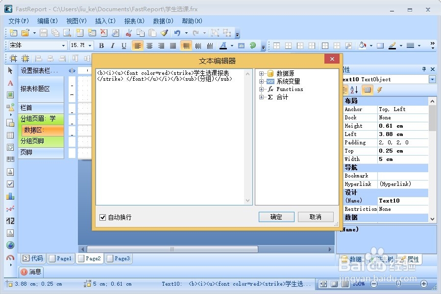 FastReport.Net使用：[6]HTML标签使用
