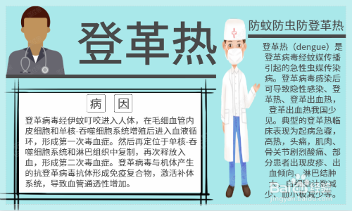 登革热手抄报