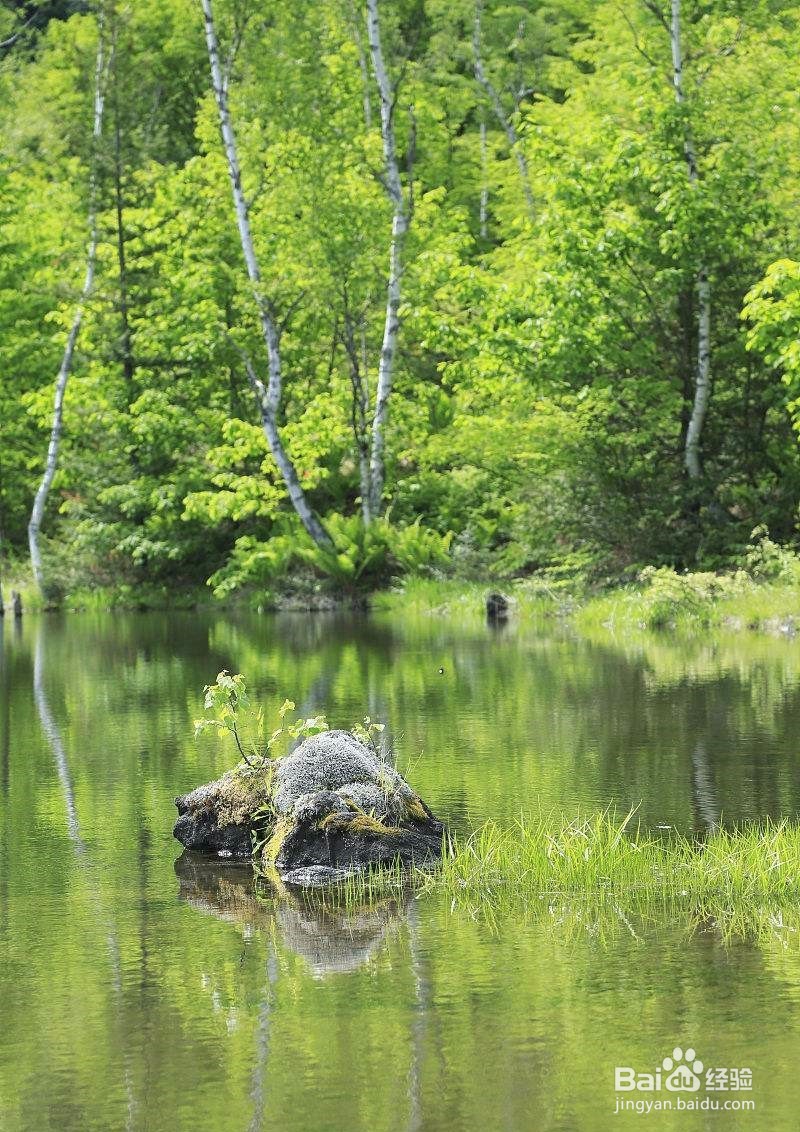 如何调控养殖池塘混浊水色