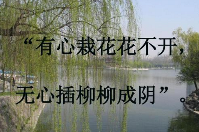 无心插柳柳成荫的前一句是什么