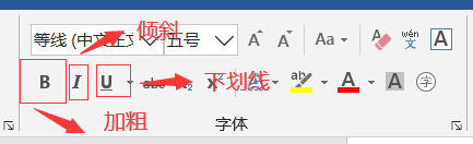 怎么在word中设置文本格式